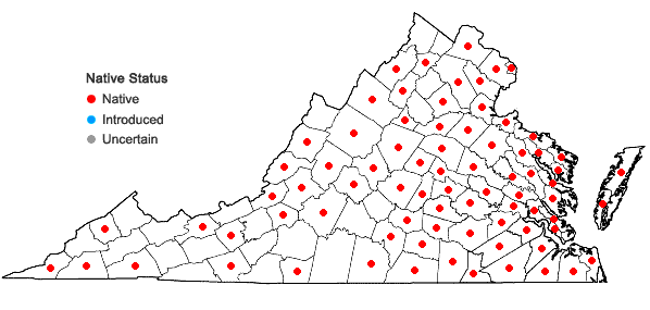 Locations ofColeataenia rigidula (Bosc ex Nees) LeBlond ssp. rigidula in Virginia