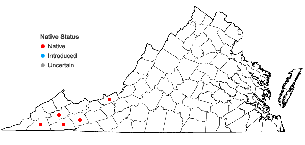 Locations ofCollinsia verna Nutt. in Virginia