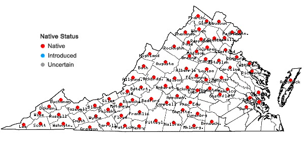 Locations ofCollinsonia canadensis L. in Virginia