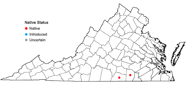 Locations ofCollinsonia verticillata Baldw. in Virginia