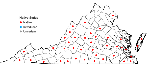 Locations ofCololejeunea biddlecomiae (Austin ex Pearson) A. Evans in Virginia