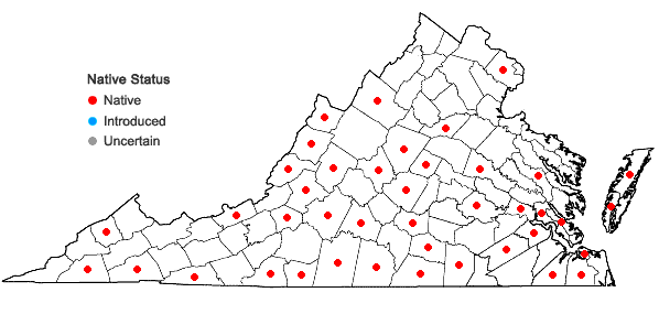 Locations ofCololejeunea biddlecomiae (Austin ex Pearson) A. Evans in Virginia