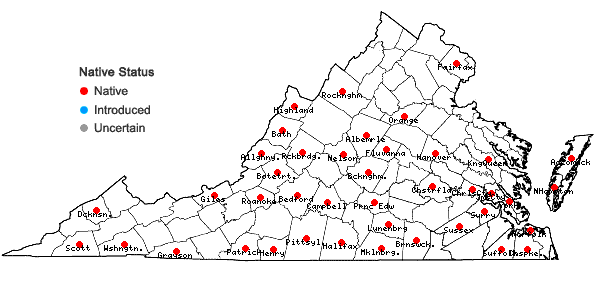 Locations ofCololejeunea biddlecomiae (Austin ex Pearson) A. Evans in Virginia