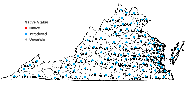 Locations ofCommelina communis L. in Virginia