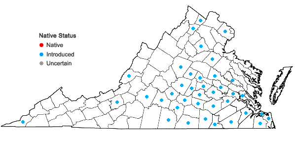 Locations ofCommelina diffusa Burman f. in Virginia