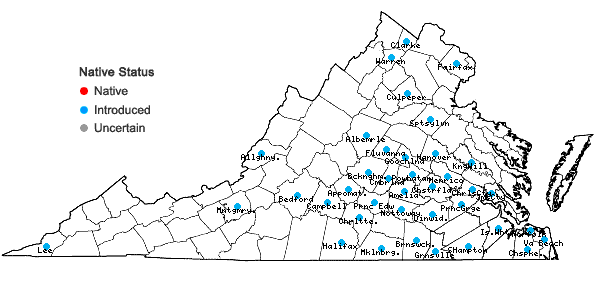 Locations ofCommelina diffusa Burman f. in Virginia