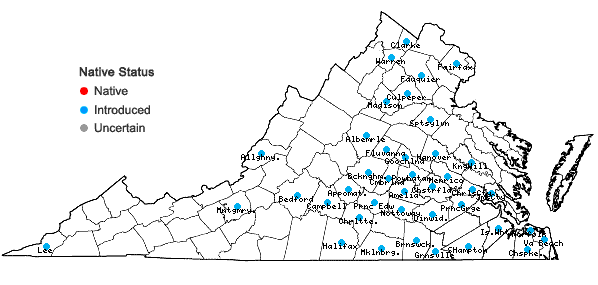 Locations ofCommelina diffusa Burman f. in Virginia
