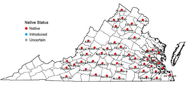 Locations ofCommelina erecta L. in Virginia