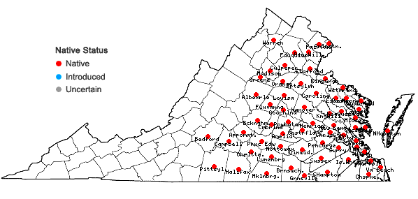 Locations ofCommelina virginica L. in Virginia