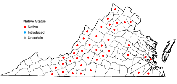 Locations ofComptonia peregrina (L.) Coult. in Virginia