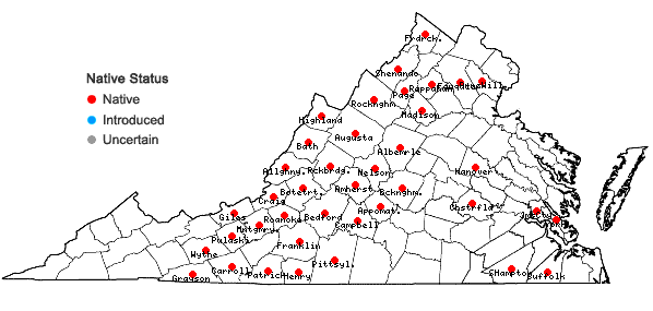 Locations ofComptonia peregrina (L.) Coult. in Virginia