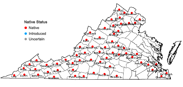 Locations ofConopholis americana (L.) Wallroth in Virginia