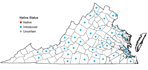 Locations ofConsolida ajacis (L.) Schur. in Virginia