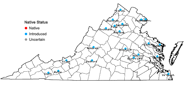 Locations ofConvallaria majalis L. in Virginia