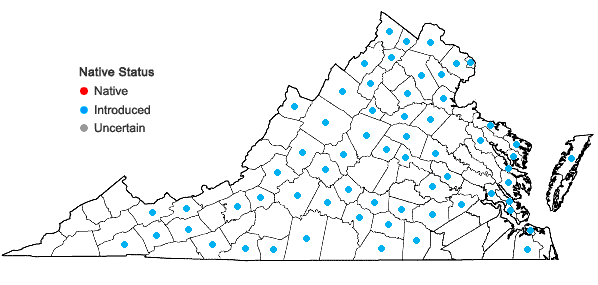 Locations ofConvolvulus arvensis L. in Virginia