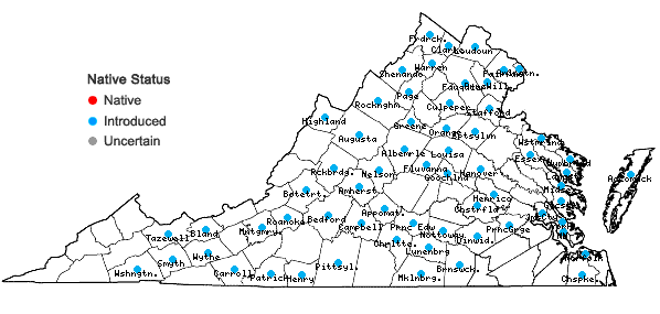 Locations ofConvolvulus arvensis L. in Virginia