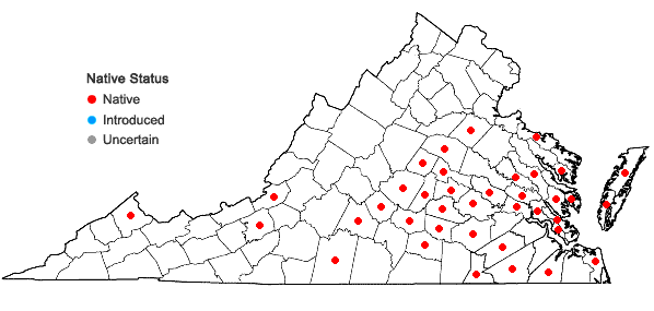 Locations ofConyza canadensis (L.) Cronq. var. pusilla (Nutt.) Cronq. in Virginia