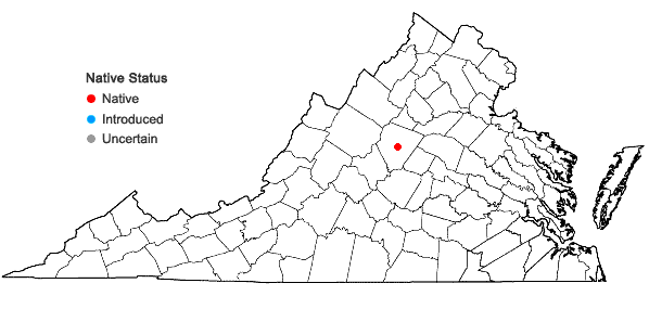 Locations ofCorallorhiza maculata (Raf.) Raf. var. occidentalis (Lindley) Ames in Virginia