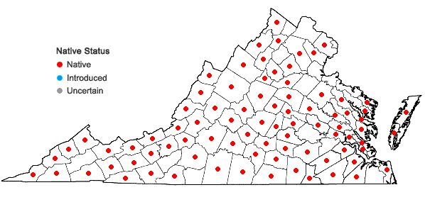 Locations ofCorallorhiza odontorhiza (Willd.) Nuttall in Virginia