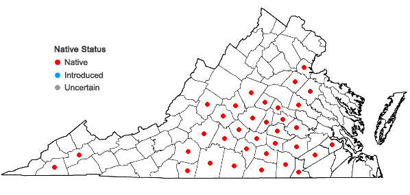 Locations ofCoreopsis auriculata L. in Virginia
