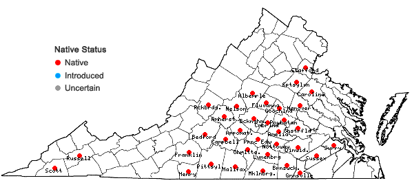 Locations ofCoreopsis auriculata L. in Virginia