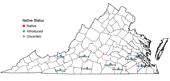 Locations ofCoreopsis grandiflora Hogg ex Sweet var. harveyana (Gray) Sherff in Virginia