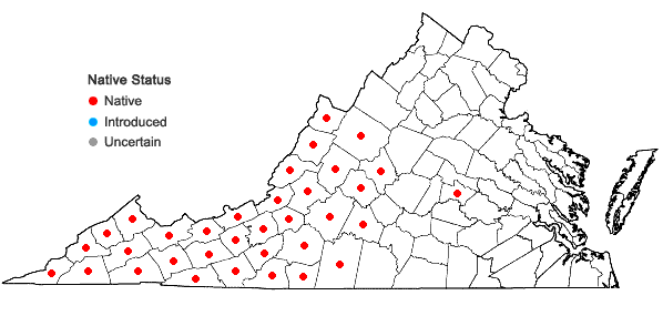 Locations ofCoreopsis major Walt. in Virginia