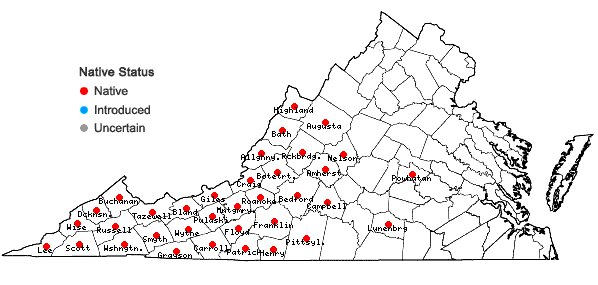 Locations ofCoreopsis major Walt. in Virginia