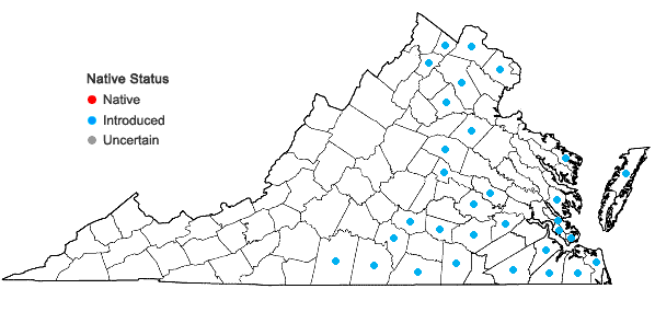 Locations ofCoreopsis tinctoria Nutt. var. tinctoria in Virginia