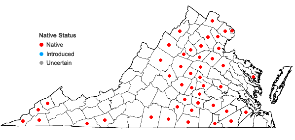 Locations ofCoreopsis tripteris L. in Virginia