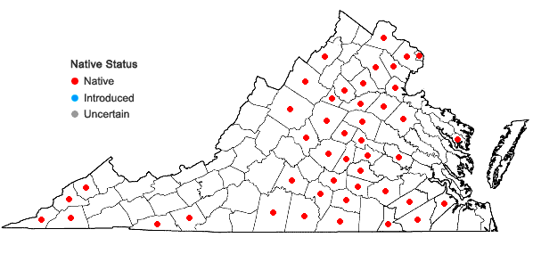 Locations ofCoreopsis tripteris L. in Virginia