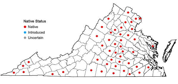 Locations ofCoreopsis tripteris L. in Virginia