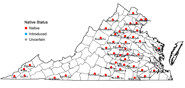 Locations ofCoreopsis tripteris L. in Virginia