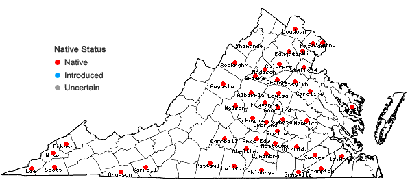 Locations ofCoreopsis tripteris L. in Virginia