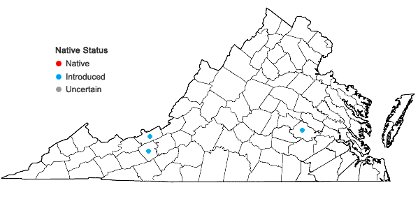 Locations ofCoriandrum sativum L. in Virginia