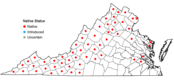 Locations ofCornus alternifolia L.f. in Virginia