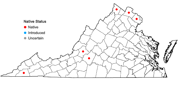 Locations ofCornus obliqua Raf. in Virginia