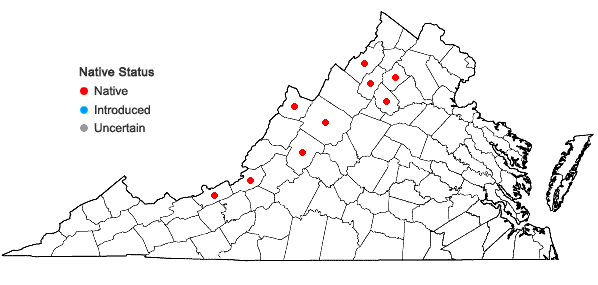 Locations ofCornus rugosa Lam. in Virginia