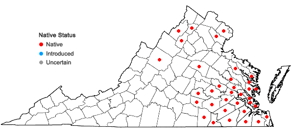 Locations ofCornus stricta Lam. in Virginia