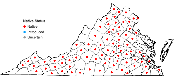 Locations ofCorydalis flavula (Raf.) DC in Virginia