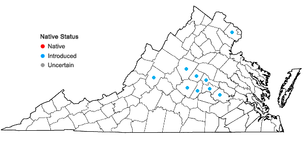 Locations ofCorydalis incisa (Thunb.) Pers. in Virginia