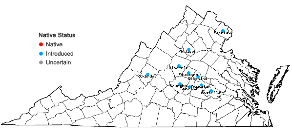 Locations ofCorydalis incisa (Thunb.) Pers. in Virginia