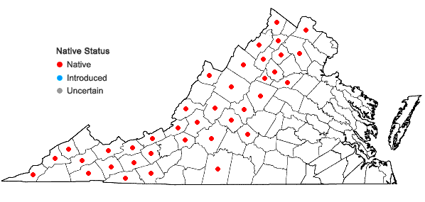 Locations ofCorydalis sempervirens (L.) Pers. in Virginia