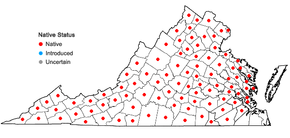 Locations ofCorylus americana Walt. in Virginia