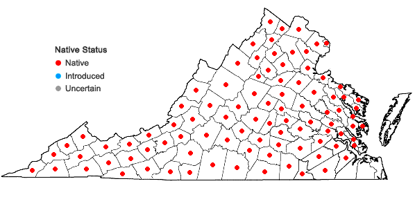Locations ofCorylus americana Walt. in Virginia