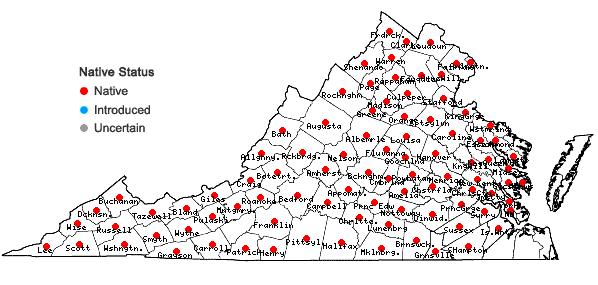 Locations ofCorylus americana Walt. in Virginia