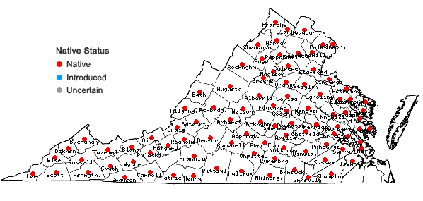 Locations ofCorylus americana Walt. in Virginia