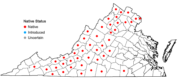 Locations ofCorylus cornuta Marsh. var. cornuta in Virginia