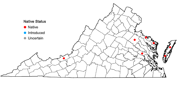 Locations ofCoryphopteris simulata (Davenport) S.E. Fawcett in Virginia