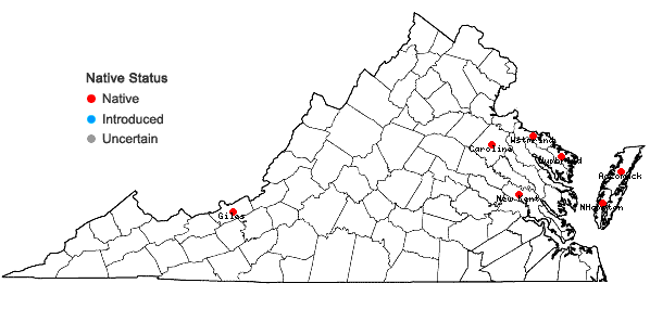 Locations ofCoryphopteris simulata (Davenport) S.E. Fawcett in Virginia